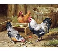 Eiialerm Point de croix kit complet kits coq poule animal 11CT Toile Pré-imprimé DIY Adulte Kits Broderie Estampillés Pour Noel Décoration la Maison 40x50cm
