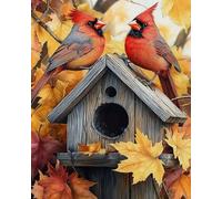 Eiialerm Point de croix kit complet kits Maison d'oiseau 11CT Toile Pré-imprimé DIY Adulte Kits Broderie Estampillés Pour Noel Décoration la Maison 40x50cm