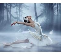 Eiialerm Point De Croix Kit Pour Debutant danseuse 11CT Toile Pré-imprimé DIY Adulte Kits Broderie Estampillés Pour Noel Décoration la Maison 40x50cm