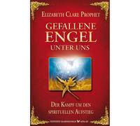 Eilzabeth Clare Gefallene Engel unter uns. Der Kampf um den spirituellen (Poche)