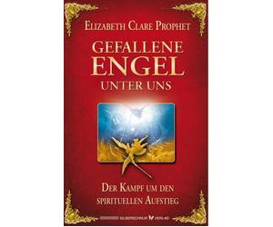 Eilzabeth Clare Gefallene Engel unter uns. Der Kampf um den spirituellen (Poche)