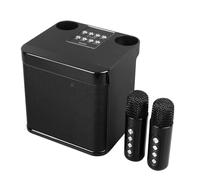 EIMSOAH Haut-parleurs de karaoké sans Fil avec 2 Microphones sans Fil, Haut-Parleur Portable, Subwoofer, Idéal pour la Fête à Domicile, Le Camping et Les Rassemblements Sociaux