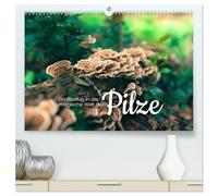 Ein Ausflug in die magische Welt der Pilze (hochwertiger Premium Wandkalender 2026 DIN A2 quer), Kunstdruck in Hochglanz: Weder Gemüse noch Tier.