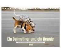 Ein Dalmatiner und ein Beagle - Auf der maritimen Jagd nach dem weltbesten Stock (Tischkalender 2026 DIN A5 quer), CALVENDO Monatskalender: Sie lieben Hunde und das Meer? Ich auch!