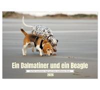 Ein Dalmatiner und ein Beagle - Auf der maritimen Jagd nach dem weltbesten Stock (Wandkalender 2026 DIN A2 quer), CALVENDO Monatskalender: Sie lieben Hunde und das Meer? Ich auch!