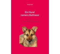 Ein Hund namens Balthasar: Über das Leben mit einem rumänischen Straßenhund