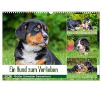 Ein Hund zum Verlieben - Großer Schweizer Sennenhund (Wandkalender 2026 DIN A3 quer), CALVENDO Monatskalender: Die größte der Schweizer ... von klein bis groß in wunderschönen Fotos