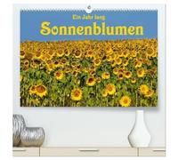 Ein Jahr lang Sonnenblumen (hochwertiger Premium Wandkalender 2026 DIN A2 quer), Kunstdruck in Hochglanz: Frisch fröhliche Sonnenblumen im Bild festgehalten von der Fotografin Anke van Wyk.