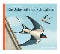 Ein Jahr mit den Schwalben | Thomas M. Müller Thomas M. MüllerThomas M. Müller (Auteur)