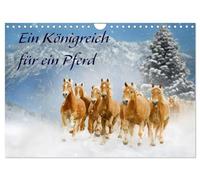 Ein Königreich für ein Pferd (Wandkalender 2026 DIN A4 quer), CALVENDO Monatskalender: Faszinierende, nicht alltägliche Bilder von verschiedenen Pferderassen