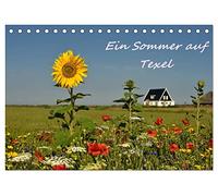 Ein Sommer auf Texel (Tischkalender 2026 DIN A5 quer), CALVENDO Monatskalender: Ein fotografischer Sommerspaziergang auf Texel