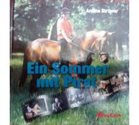 Ein Sommer mit Pirat