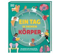Ein Tag in deinem Körper: Das passiert in dir rund um die Uhr: vom Aufstehen bis zum Schlafengehen
