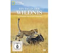 Ein Tag in der Wildnis - 24 Stunden auf 4 Kontinenten - National Geographic