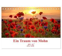 Ein Traum von Mohn (Tischkalender 2026 DIN A5 quer), CALVENDO Monatskalender: Die Mohnblumen sind eine immergrüne ein bis zweijährige Pflanze und die Blütezeit ist von Mai bis Juli.