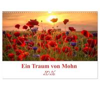 Ein Traum von Mohn (Wandkalender 2026 DIN A3 quer), CALVENDO Monatskalender: Die Mohnblumen sind eine immergrüne ein bis zweijährige Pflanze und die Blütezeit ist von Mai bis Juli.