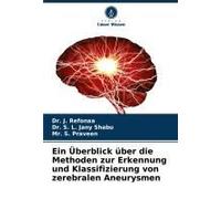 Ein Überblick Über Die Methoden Zur Erkennung Und Klassifizierung Von Zerebralen Aneurysmen