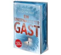Ein unerwarteter Gast: Ein Schneesturm. Ein fremdes Kind. Ein tödliches Geheimnis.
