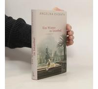 Ein Winter In Istanbul