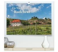 Ein Wochenende in Radebeul (hochwertiger Premium Wandkalender 2026 DIN A2 quer), Kunstdruck in Hochglanz: Radebeul - Entdeckungen zwischen Dresden und Meißen