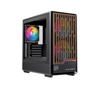 Einarex Boîtier PC PM400 Micro-ATX RGB avec panneau vitré Noir