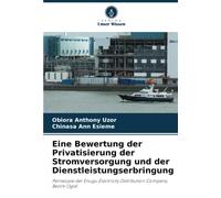 Eine Bewertung Der Privatisierung Der Stromversorgung Und Der Dienstleistungserbringung