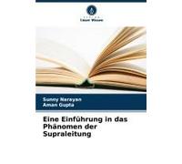 Eine Einführung In Das Phänomen Der Supraleitung