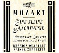 Eine Kleine Nachtmusik Dissonanc