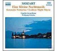 Une Petite musique de nuit