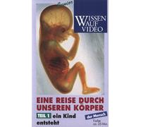 Eine Reise durch unseren Körper 1 - Ein Kind ent [VHS]