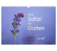 Eine Safari im Garten (Wandkalender 2026 DIN A3 quer), CALVENDO Monatskalender: Schmetterlinge, Raupen & Co., direkt vor der Haustür