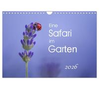 Eine Safari im Garten (Wandkalender 2026 DIN A4 quer), CALVENDO Monatskalender: Schmetterlinge, Raupen & Co., direkt vor der Haustür