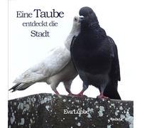 Eine Taube entdeckt die Stadt