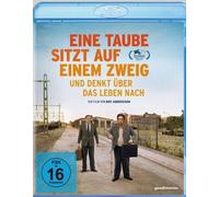 Eine Taube Sitzt Auf Einem Zweig Und Denkt Über Das Leben Nach