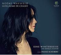 Eine Winterreise