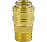 Einhell Accouplement rapide pour air comprimé R1/2 AG 4139209 1 pièce