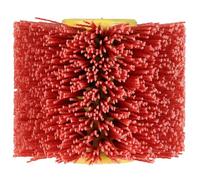 Original Einhell Brosse en nylon 120x100 mm (accessoire de décapeur à rouleau, pour décapeur à rouleau sans fil TP-BR 18/32 Li BL Einhell, pour nettoyer et poncer, Ø 120 mm)