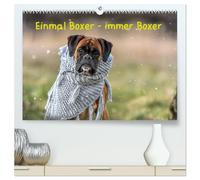 Einmal Boxer - immer Boxer (hochwertiger Premium Wandkalender 2026 DIN A2 quer), Kunstdruck in Hochglanz: Boxer, die tollsten Hunde der Welt.