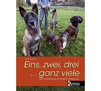 Eins, Zwei, Drei ... Ganz Viele