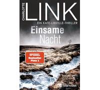 Einsame nacht