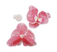 EIOLWJIEO Têtes d'orchidées artificielles, décorations faciles à Nettoyer, Faible Entretien, pétales d'orchidées artificielles en Soie, écologiques, 50 pièces/Ensemble, Rayure Rose foncé