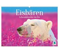 Eisbären: Lebenskünstler im Eis (Wandkalender 2026 DIN A2 quer), CALVENDO Monatskalender: Der Eisbär: Der König der Arktis
