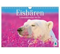 Eisbären: Lebenskünstler im Eis (Wandkalender 2026 DIN A4 quer), CALVENDO Monatskalender: Der Eisbär: Der König der Arktis