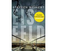 Eisfeld - Dunkle Enthüllungen: Kriminalroman | Der zweite Band der fesselnden Berlin-Krimireihe - ein toter Journalist und ein düsteres Geheimnis (Mara Eisfeld ermittelt 2)