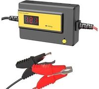 Eity-Désulfateur Automatique De Batterie Pour Batteries Plomb-Gel Agm Sla (72v)