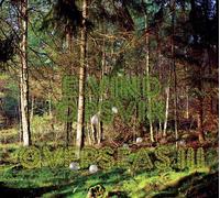 Eivind Opsvik - Outre-mer 3