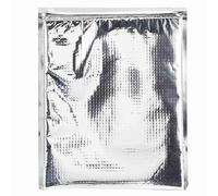 Ejoyous 5 Morceaux de Papier Papier Aluminium Sac Thermique Isolant Sac de Refroidissement Bien Bon Sac à Fermeture éclair pour Pique-nique (30 * 35cm)