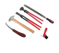 Ejoyous 6 Pièces Outil de Coupe de Sabot de Maréchal Kit de Soin des Sabots de Cheval Pince à Fer à Cheval en Alliage Professionnel équin Pince Lime Marteau Brosse Couteau avec Poignée