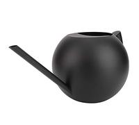 Ejoyous Arrosoir en Acier Inoxydable, Arrosoir à Long Bec de 1000 ML, Arrosoir pour Plantes D'intérieur, Arrosoir à Long Bec pour Plantes Accessoires de Jardinage