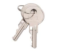 Ejoyous Clés de Contact, Remplacement en Métal pour Véhicules à Gaz ou électriques EZGO, OEM 17063-G1, Facile à Installer, Ajustement Parfait pour 1982 et Plus